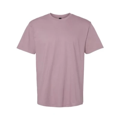 Image of Gildan Unisex Adult Softstyle Midweight T Shirt (L) (Paragon)