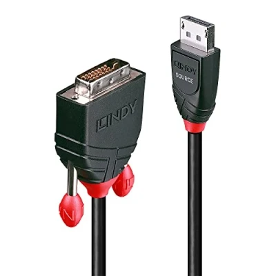 Image of LINDY 2m DisplayPort to DVI D Cable