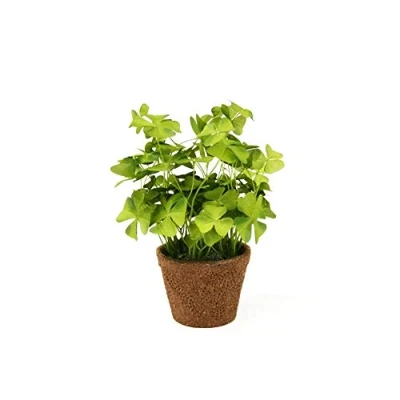 Image of FloristryWarehouse Faux Silk Green Shamrock Oxalis Clover in a Pot 25cm/10 Inches