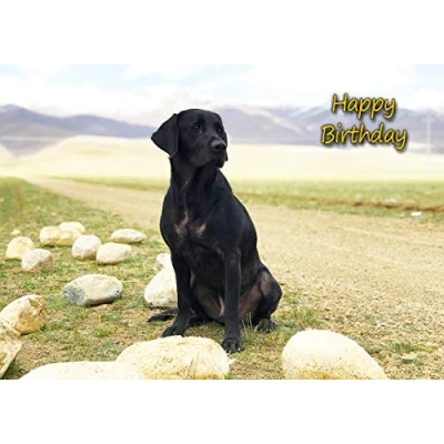Image of Black Labrador Dog Birthday Card
