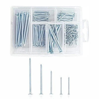 Image of 250pcs Assorted Nails Set Masonry for Repair DIY Hanging Pictures Frame Wood Mirror Home Construction Tacks and Panel Pins Crafts Décor Woodwork Furniture (Pack of 250)