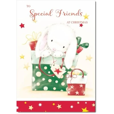 Image of doodlecards Special Friends Christmas Card Cute Rabbit with Parcels Medium Size for Plain Envelope