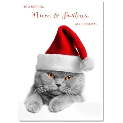 Image of doodlecards Niece and Partner Christmas Card Grey Cat with Santa Hat Medium Size for &amp; Plain Envelope