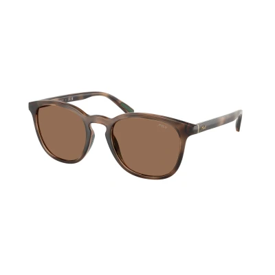 Image of Polo Ralph Lauren Unisex Sunglasses, Size: 52, Shiny dark/havana