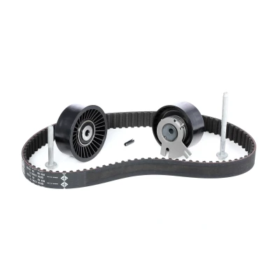 Image of 1307000QAD, 1307000QAE, 1307000QAF, 1307700QAA, 1680600Q0D Timing belt kit INA 530 0198 10 89 RENAULT: MASTER 2 Bus, Kasten