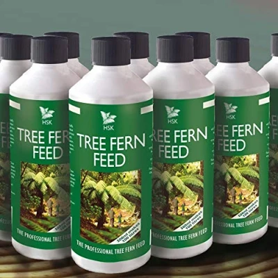Image of Tree Fern Feed For Improved Growth of Ferns Weekly Use Containers and Borders Easy to 1 x Pack 500ml by Thompson Morgan