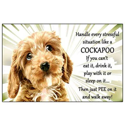 Image of Cockapoo Dog Just Pee on it Fun novelty Flexible 6&quot; x 4&quot; Magnet