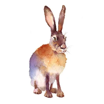 Image of Wee Blue Coo Hare Watercolour Isolated Art Print Poster Wall Decor 12X16 Inch