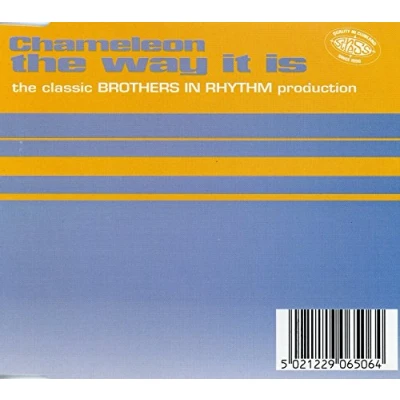 Image of Chameleon The Way It Is 1996 UK CD single CDSTR65