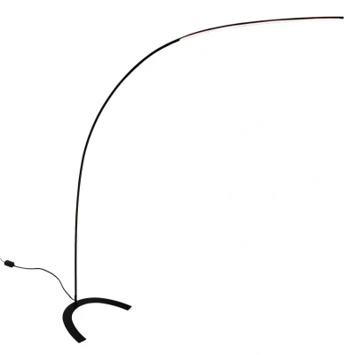 Image of Lindby LED floor lamp Danua, black, metal, height 200 cm