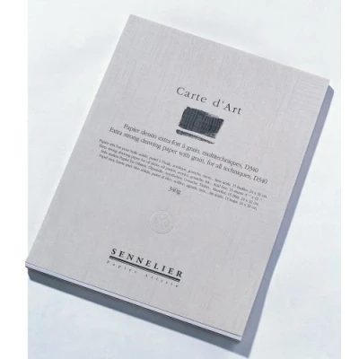 Image of Sennelier Carte d&#039;Art (D340) 29.7cm x 42cm A3 15 Sheets 340g Grained Card Heavy Paper Drawing and Painting