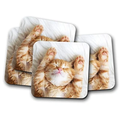 Image of 4 Set Cute Kitten Coaster Ginger Cat Pet Funny Mum Sister Auntie #13113
