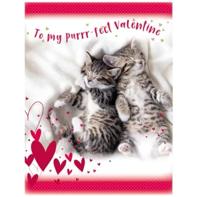 Image of Piccadilly Greetings Valentines Day Card, perfect Valentine, purr fect, cats 8 x 6 inches