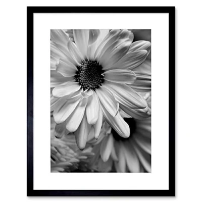 Image of Wee Blue Coo BLACK WHITE FLOWER PETAL FRAME FRAMED ART PRINT PICTURE MOUNT B12X9024