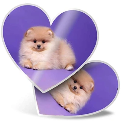 Image of 2 x Heart Stickers 7.5 cm Pomeranian Spitz Dog Puppy Fluffy Fun Decals for Laptops,Tablets,Luggage,Scrap Booking,Fridges, 24051