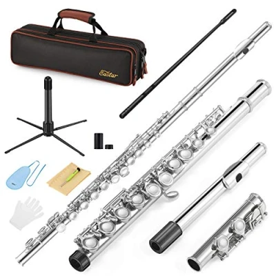 Image of Eastar C Flutes Closed Hole 16 Keys Flute for Beginner Kids Student Instrument with Cleaning Kit, Stand, Carrying Case, Gloves, Tuning Rod, Nickel, EFL 1