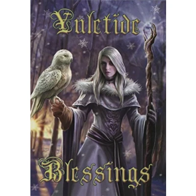 Image of Winter Owl Yule Christmas Fantasy Art Anne Stokes Greeting Card