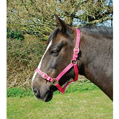 Image of Rhinegold Nylon Headcollar Pony Raspberry