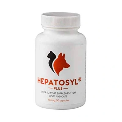 Image of Hepatosyl Plus Capsules 100mg (30 Capsules)