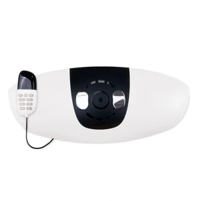 Image of Well Being Premium Multi Mode Five Function Lumbar, Waist &amp; Lower Back Massager