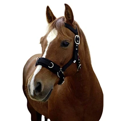 Image of Kerbl Plastic Lunge Girth Halter, Black