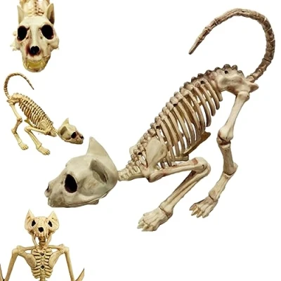 Image of Yeory Halloween Bones Ornament Cat skeleton scary Model Creepy Animal Skull Decoration, decoration
