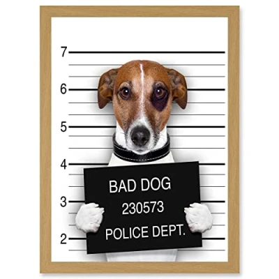 Image of Wee Blue Coo Jack Russell Bad Dog Mugshot Police Photo Artwork Framed Wall Art Print A4