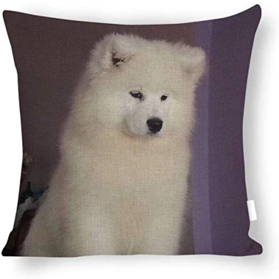 Image of Giftme Lovely White Samoyed Dog Pet Cushion Cover for Bedroom/Sofa Car Chair Decor, 45 Cm X Linen Cover, Throw Pillow Cover.