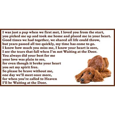 Image of Red Irish Setter dog bereavement pet loss sympathy Flexible Fridge Magnet Memorial Waiting at the Door