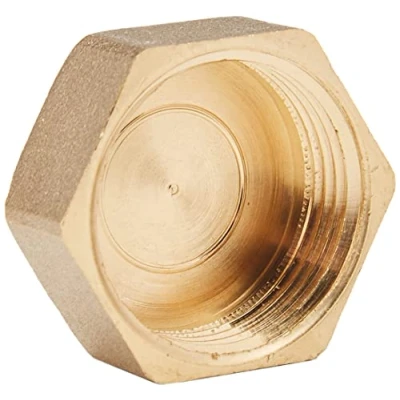 Image of WOLFPACK 4020084 3/4 Female Stopping Plug, Brass