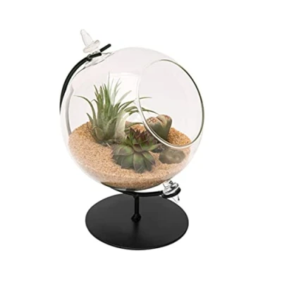 Image of Panacea 82149 Desktop Glass Terrarium with Metal Stand, 4&quot; Dia