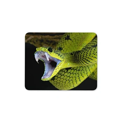 Image of Destination Vinyl ltd Cool Lime Green Snake Mouse Mat Pad Snakes Reptile Fangs Gift Computer #8899
