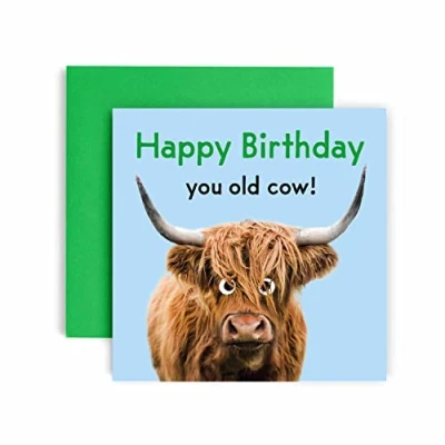 Image of Huxters Funny Birthday Card You Old Cow Happy for her gifts from women Friend Gift him men Mum 14.8cm square
