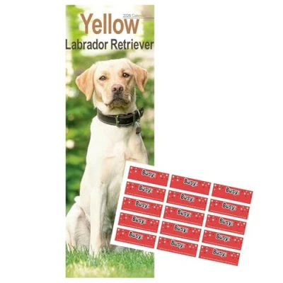 Image of Yellow Labrador Retriever Calendar 2025 Slimline with FREE Organisational Stickers