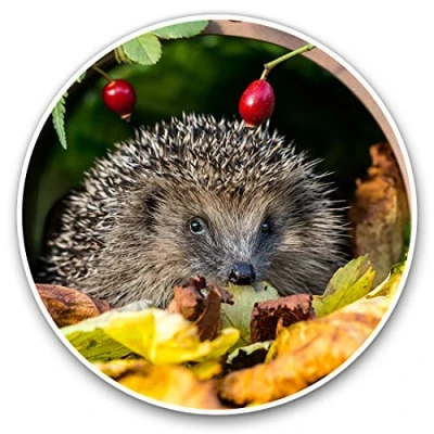 Image of Vinyl Stickers (Set of 2) 10cm Garden Hedgehog Flowerpot Decals for Laptops,Tablets,Luggage,Scrap Booking,Fridges, 13045