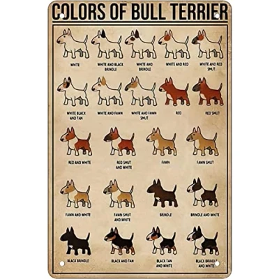 Image of Retro Funny Metal Sheet Signs Colors of bull terrier knowledge, Wall Decoration, 6x8 Inch