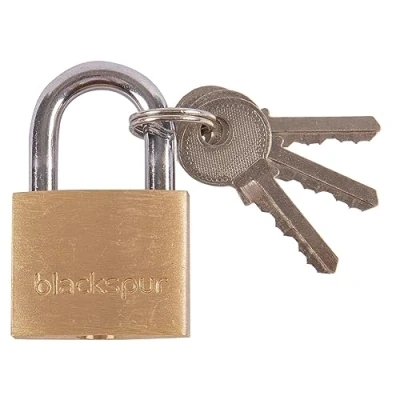 Image of 2.5cm Heavy Duty Brass Padlock By Blackspur
