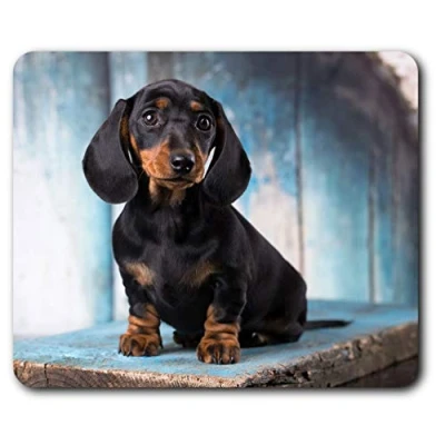 Image of Destination Vinyl ltd Sausage Dog Dachshund Puppy Mouse Mat Pad Computer PC Laptop Gaming Office Home Desk Accessory Gadget 16342