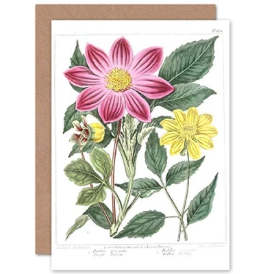 Image of Fine Art Prints Flower Purple And Yellow Dahlia Greeting Card With Envelope Inside Premium Quality