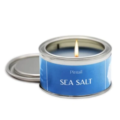 Image of Pintail Candles Paint Pot Candle (Sea Salt Home Fragrance) Scented Long Burning (14 Hour Burn Time), Hand Poured Gifts for Women Genuine Gift