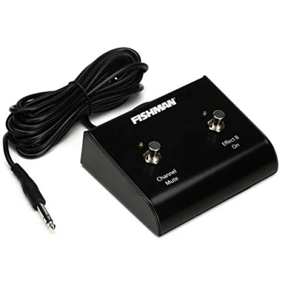 Image of Fishman ACC LBX FSW Dual Foot Switch for Loudbox Amplifiers