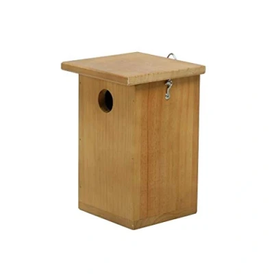 Image of Henry Bell Nest Box, clear