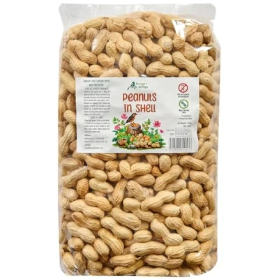 Image of Premium Wild Bird Food 5L Refill, (5L Bag, Peanuts In Shell)