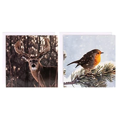 Image of Hallmark Charity Christmas Card Pack 10 Cards in 2 Photographic Gallery Collection Designs