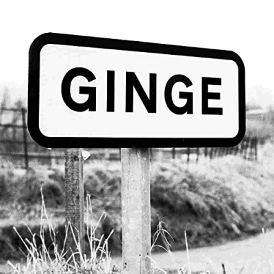 Image of Lesser Spotted Britain Sandy Balls Art Print
