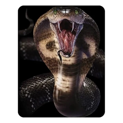Image of 3D LiveLife Magnet Cobra from Deluxebase. Lenticular Snake Fridge Magnet. Magnetic decor for kids and adults with artwork licensed renowned artist, David Penfound