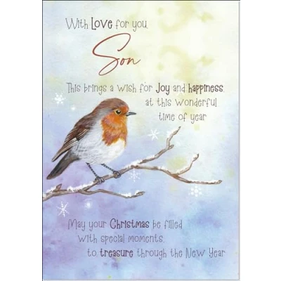 Image of doodlecards Son Christmas Card Watercolour Robin In The Frost Medium Size with Plain Envelope