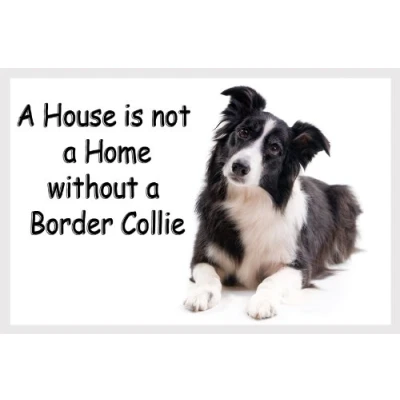 Image of Border Collie Fridge Magnet Sheepdog Gift A House is not Home