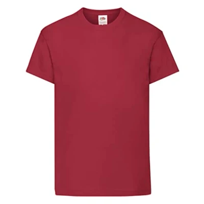 Image of Fruit of the Loom Kids Original T Shirt 21 Colours / Age 3 15 Brick Red 78