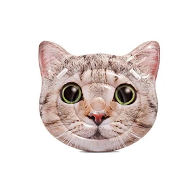 Image of Intex Cat Face Island